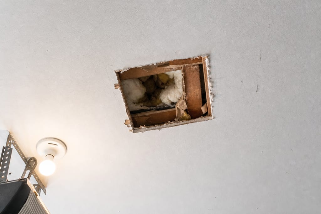 Ceiling Repair photo